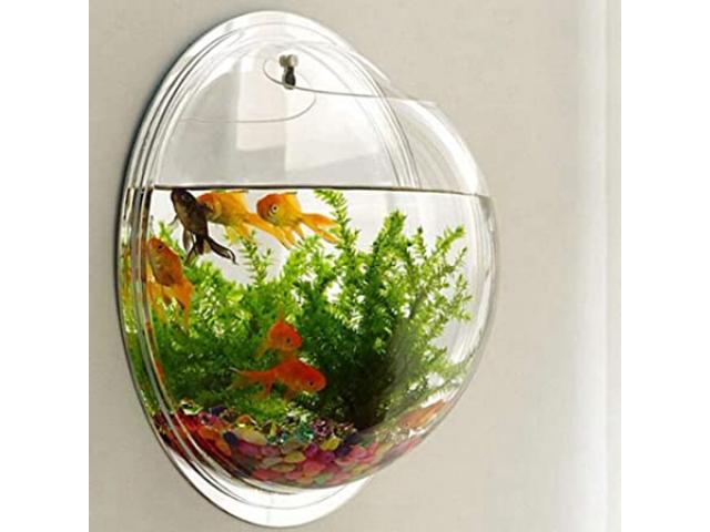 Wall Mount Hanging Acrylic Fish Aquarium Bowl Tank - 1/1