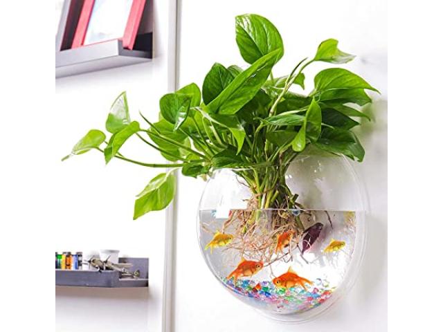 Acrylic Wall Hanging Bowl for Fish and Indoor Water Plants 12 Inch - 1/1