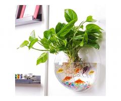Acrylic Wall Hanging Bowl for Fish and Indoor Water Plants 12 Inch