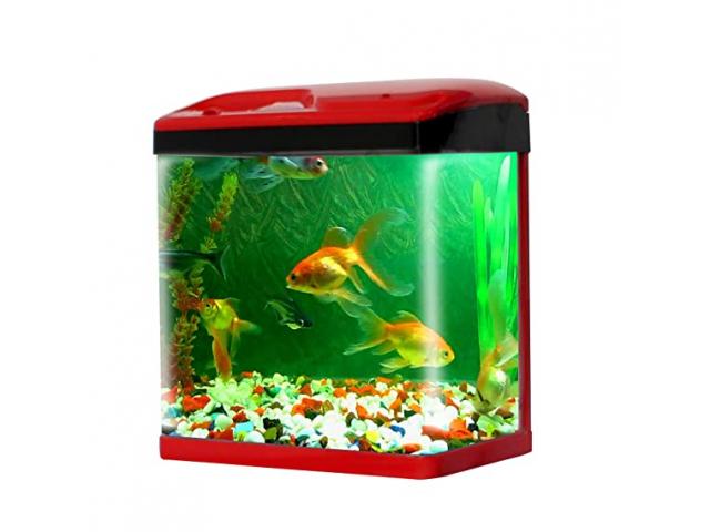 JAINSONS PET PRODUCTS Fish Aquarium Combo Tank-15 LTR - 1/2