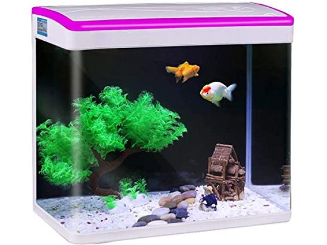 Jainsons Pet Products Fish Tank Aquarium Combo Tank - 1/1