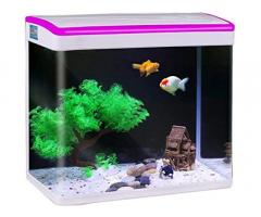 Jainsons Pet Products Fish Tank Aquarium Combo Tank - 1