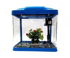 JAINSONS PET PRODUCTS Clear Glass Aquarium Fish Tank