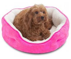 Pawsome Round Dog Cat Bed for Indoor Pets