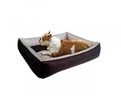 Mellifluous Reversible Super Soft Velvet Rectangular Cat Dog Bed - 1