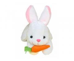 Soft Toys Cute Rabbit with Carrot Soft Toy Plush Toy