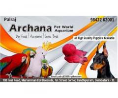 Archana pet world & aquarium Pet store in Coimbatore - 1