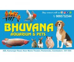 Bhuvana Aquarium & Pets store in Coimbatore