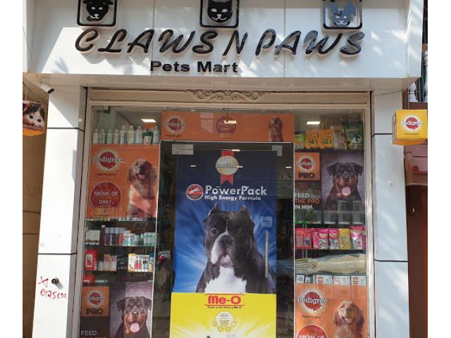 Claws N Paws Pets Mart Pet store in Varanasi - 1/2