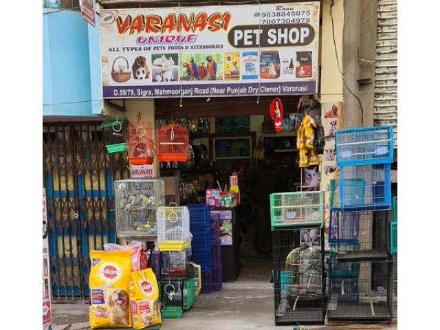 New Varanasi Unique Pet Shop Address - 1/1
