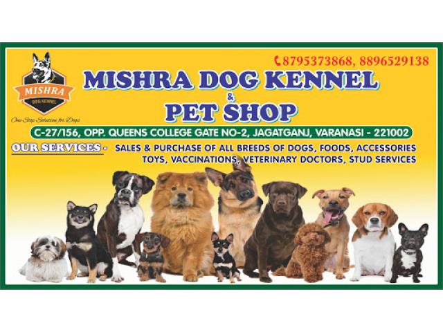 Mishra Dog Kennel and Pet Shop - 1/2