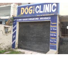 Dog Care Clinic Veterinary care in Varanasi
