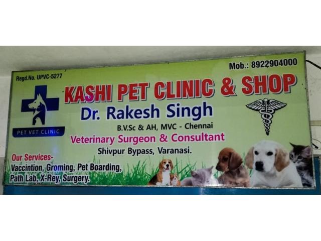 Kashi Pet Clinic and Shop Varanasi - 1/2