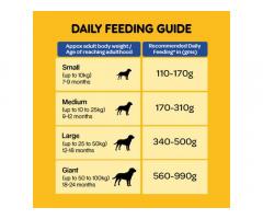 Pedigree Adult Dry Dog Food - Chicken & Vegetables, 1.2kg Pack
