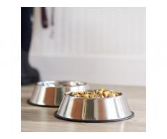 Pets Empire Stainless Steel Dog Bowl Medium (Buy 1, Get 1 Free), 700 ml - 2