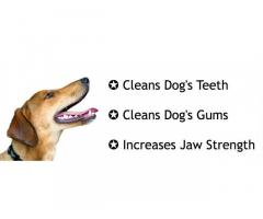 The Pets Company Natural Rubber Dog Bone Chew Toy, Puppy Teething Toy, 6 inches
