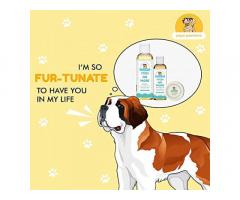 PAPA PAWSOME Itch No More Shampoo with Conditioner for Pet Dog Care