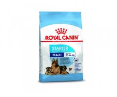 Royal Canin Maxi Starter Best Dog food Price, Buy Online