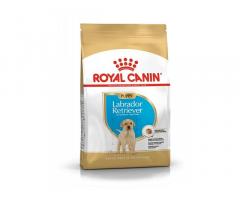 Royal Canin Labrador Retriever Puppy Dry Dog Food Price