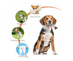 Dog Chew Toys, Puppy Teething Toys