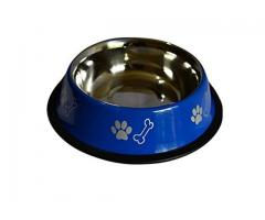 Foodie Puppies Stainless Steel Paw Bone Printed Food Water Feeding Bowl