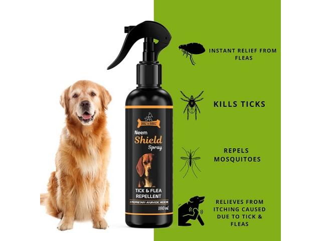 Dogz & Dudez Neem Shield Tick & Flea Repellent Spray for dogs - 1/2