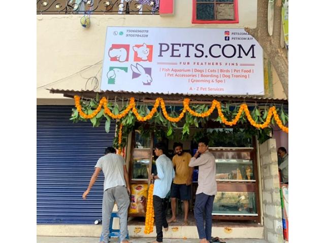 PETS.COM Pet store in Rajahmundry, Andhra Pradesh - 1/1