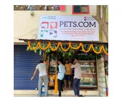 PETS.COM Pet store in Rajahmundry, Andhra Pradesh - 1