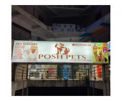 Posh Pets Pet store in Kurnool Andhra Pradesh