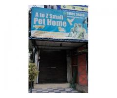 A to Z small pet Home Pet store in Tirupati, Andhra Pradesh - 1