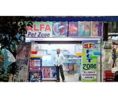 Alfa Pet Zone Pet store in Chittoor Andhra Pradesh