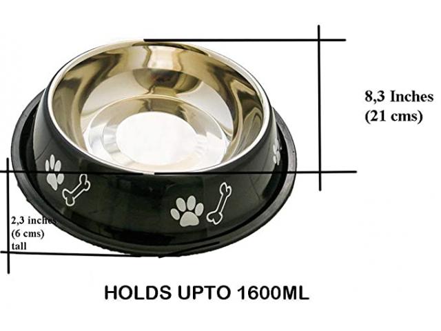 Sage Square Dog Stainless Steel Bowl for Pets, Dogs, Puppy, Cat, Kittens - 2/3