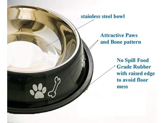 Sage Square Dog Stainless Steel Bowl for Pets, Dogs, Puppy, Cat, Kittens - 3/3