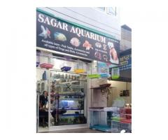 Sagar Aquarium Pet store in Barnala, Punjab