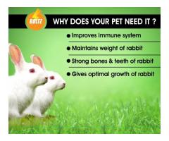 Boltz Premium Rabbit Food,Nutritionist Choice - 2