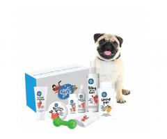 Captain Zack - The Pug Groom Box – Ultimate 8-in-1, Head-to-Paw Groom-Kit for Your Dog - 1