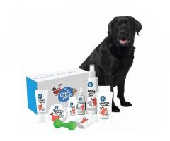 Captain Zack - The Labrador Groom Box – Ultimate 8-in-1, Head-to-Paw Groom-Kit for Your Dog - 1