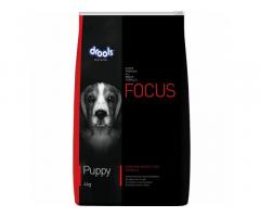Drools Focus Puppy Super Premium Dog Food Price