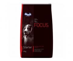 Drools Focus Starter Super Premium Dog Food Price