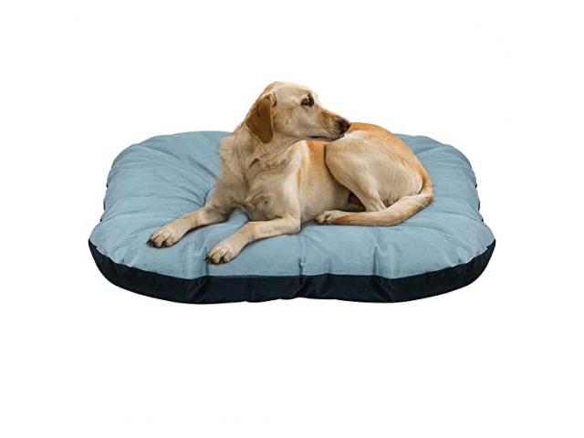Mellifluous Rectangular Washable Soft Velvet Pet Bed for Dog and Cat - 1/1