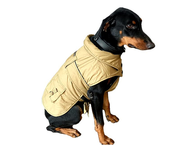 Oz International Cold Weather Winter Dog Coat Jacket - 1/1