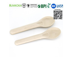 Cutlery disposable sugarcane cutlery bagasse spoon - 2