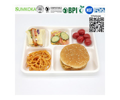 10 inch 12 inch 5 -compartment Lunch Tray disposable bagasse tray bagasse take away tray - 1