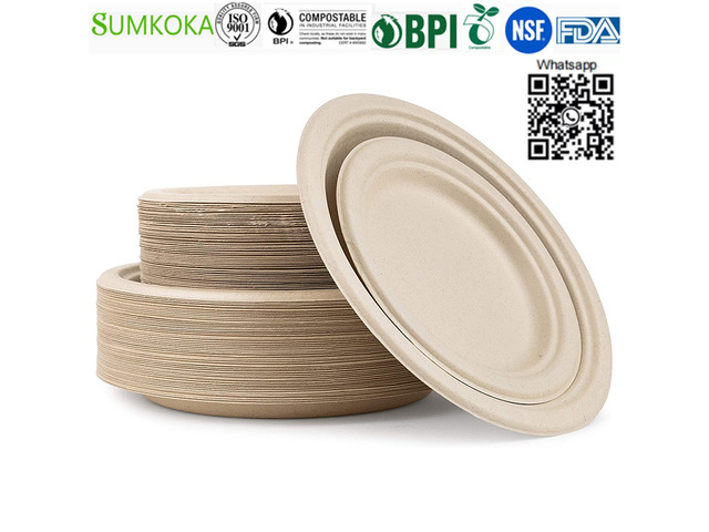 6 7 9 10 inches plate disposable sugarcane plate bagasse round plate - 2/4