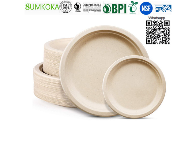 6 7 9 10 inches plate disposable sugarcane plate bagasse round plate - 4/4