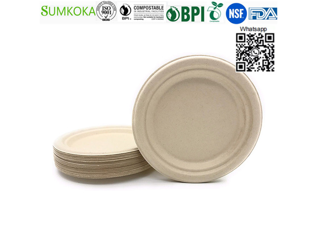 10 inches Plate disposable bagasse plate sugarcane dinner plate - 1/4