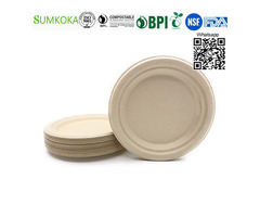 10 inches Plate disposable bagasse plate sugarcane dinner plate - 1