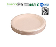 10 inches Plate disposable bagasse plate sugarcane dinner plate