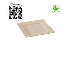 6 8 10 inches Square Sugarcane Paper Plates Disposable Bagasse Plate