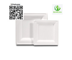 6 8 10 inches Square Sugarcane Paper Plates Disposable Bagasse Plate